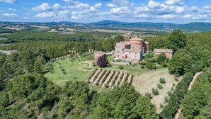 An aerial view of a historic building surrounded by lush greenery and fields.