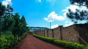 Exterior - The White House (Jinja)