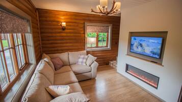 Télévision, cheminée, jeux vidéo