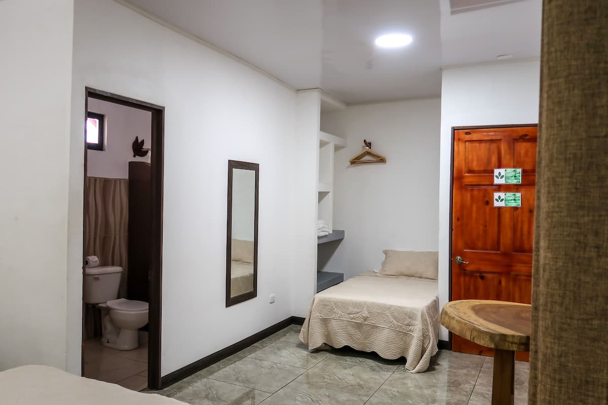 A small, clean room with a bed, a wooden door, a mirror, and a toilet.