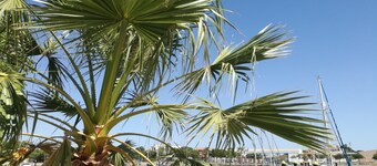 Apartamento Terraza, Piscinas, Golf and Playas en La Costa de la Luz y El Algarve 