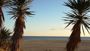 Una playa con palmeras y cielo despejado.