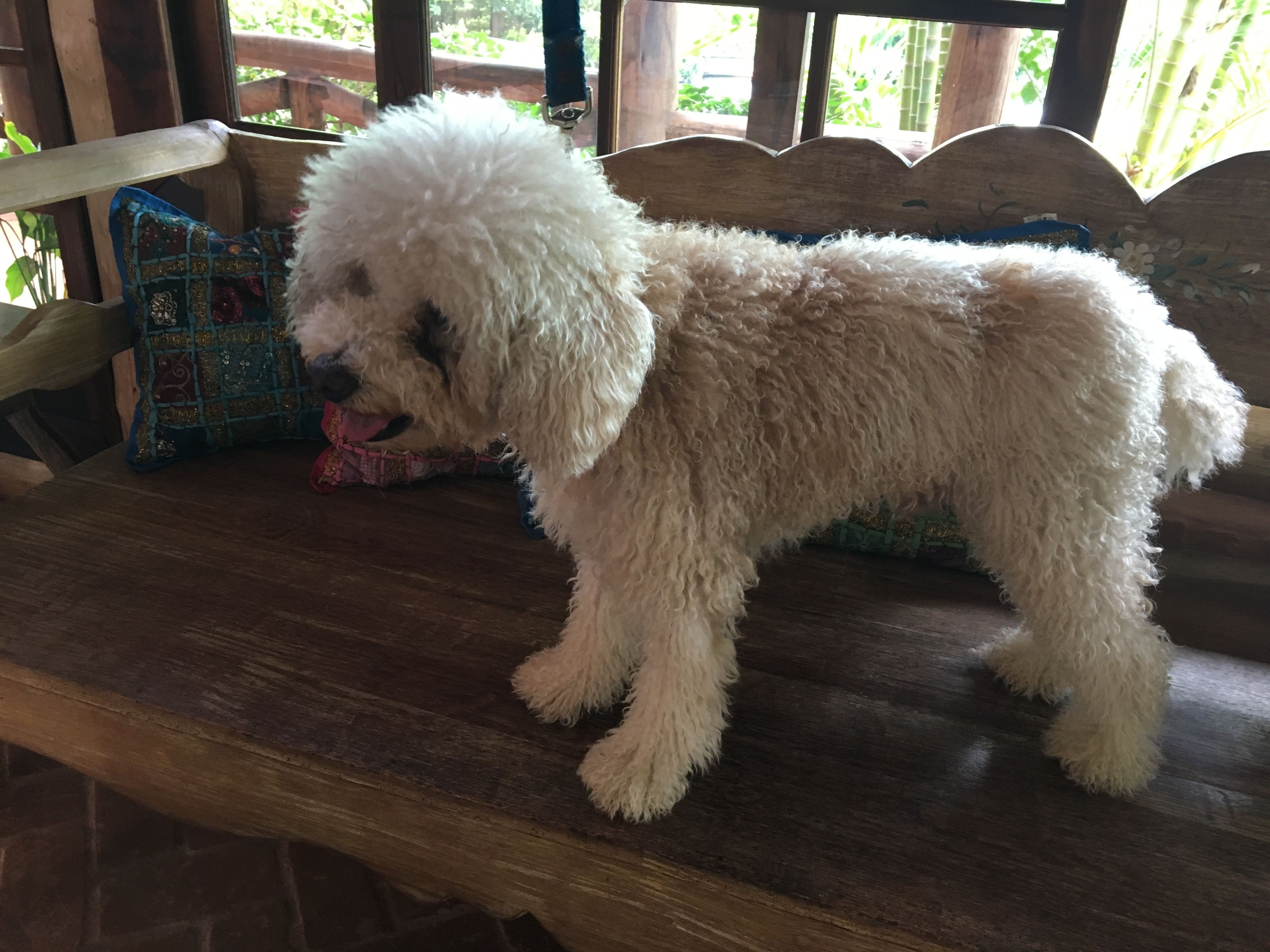 Foto - Pousada Villabella Villaggio