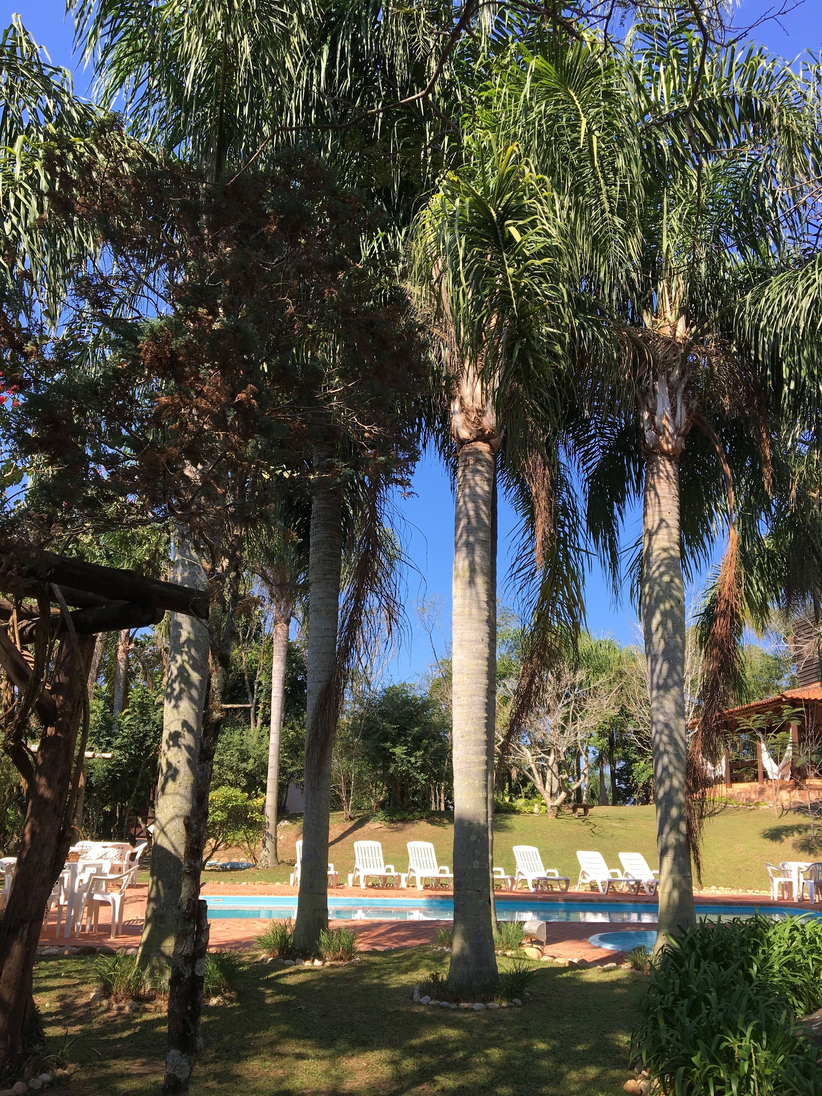 Double or Twin Room (Vista Jardim) | Garden view