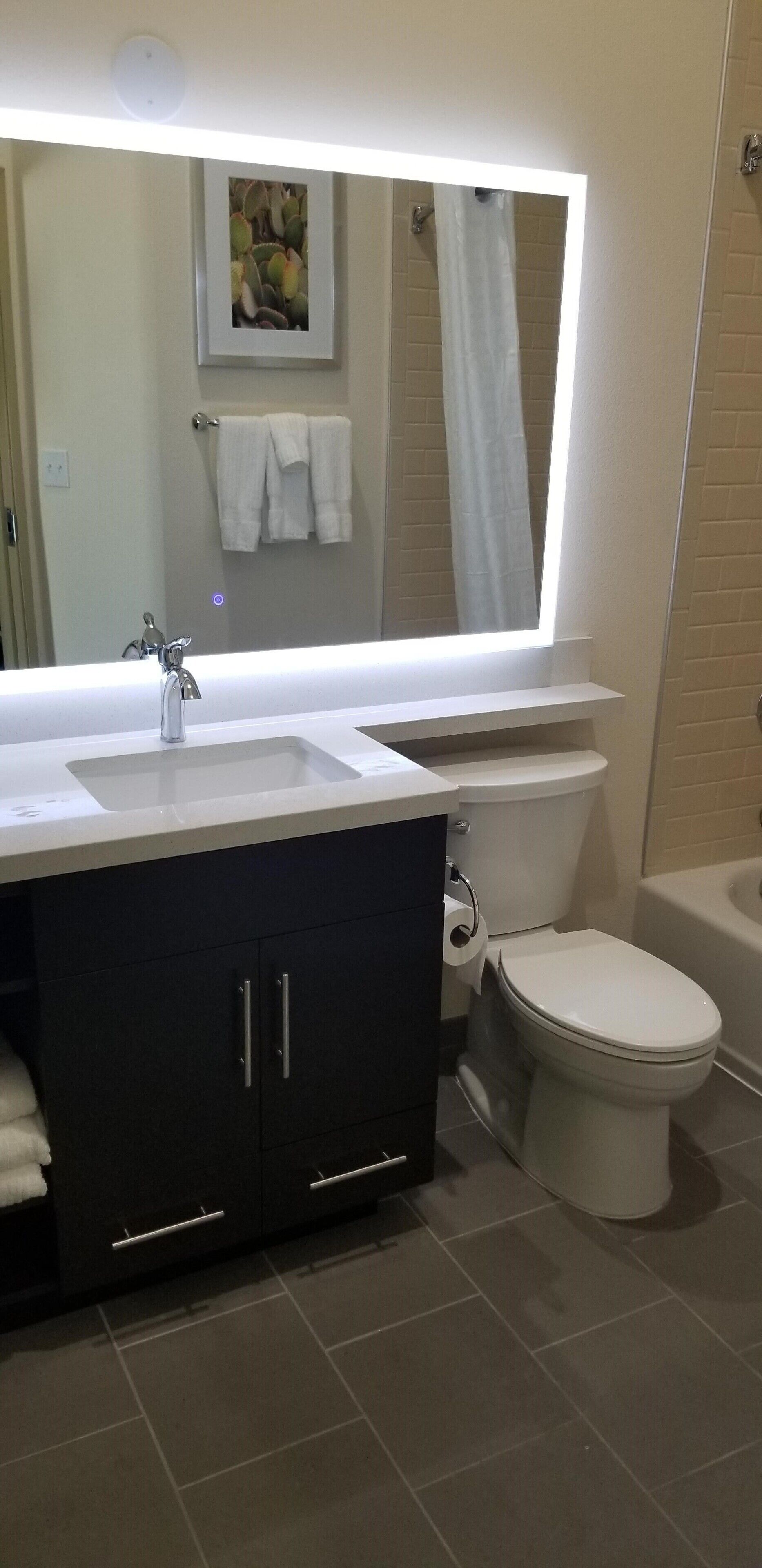combined shower/bathtub, free toiletries, hair dryer, towels