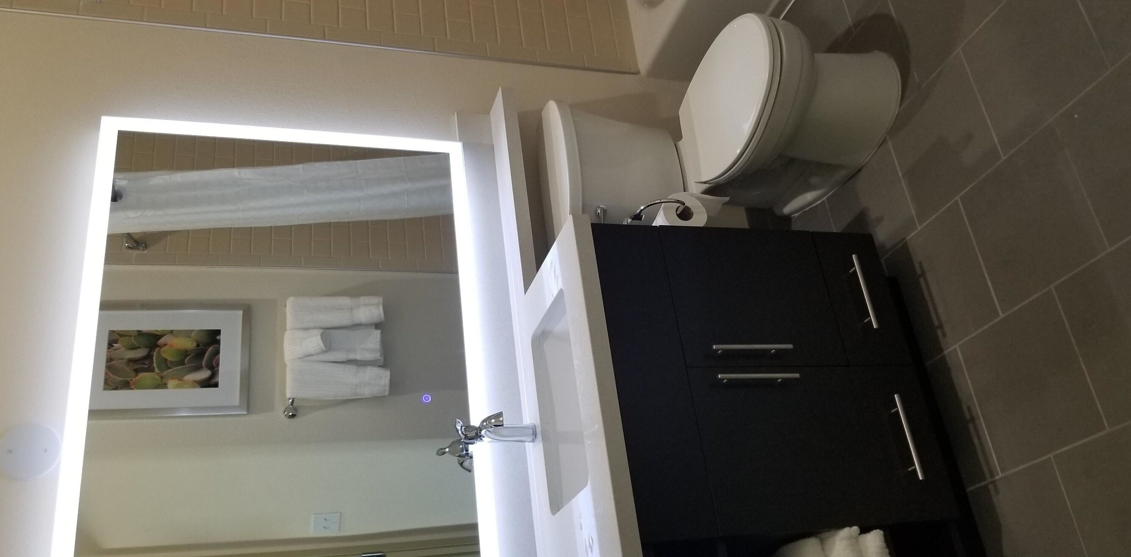 combined shower/bathtub, free toiletries, hair dryer, towels