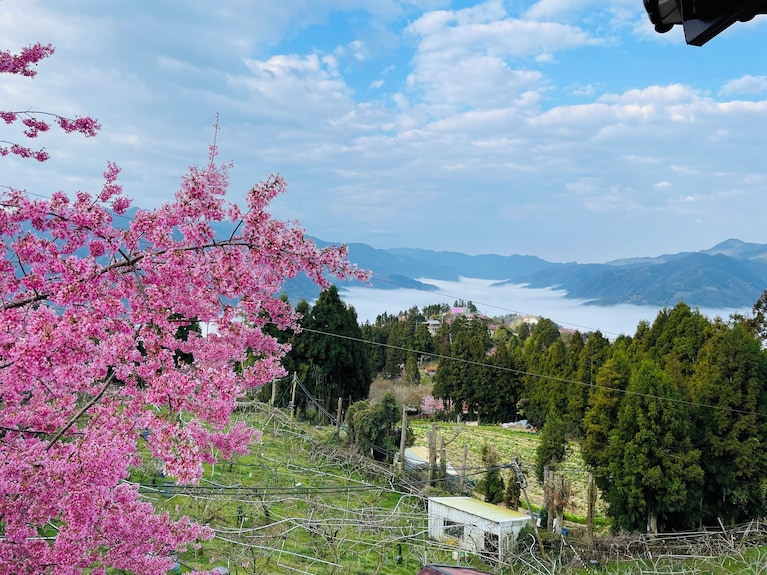 拉拉山和風山莊評價、特色體驗、房價資訊、訂房連結 – 溫馨山林渡假民宿 - 照片 5