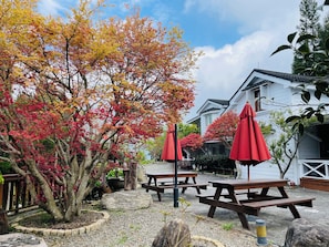 Terraço/pátio