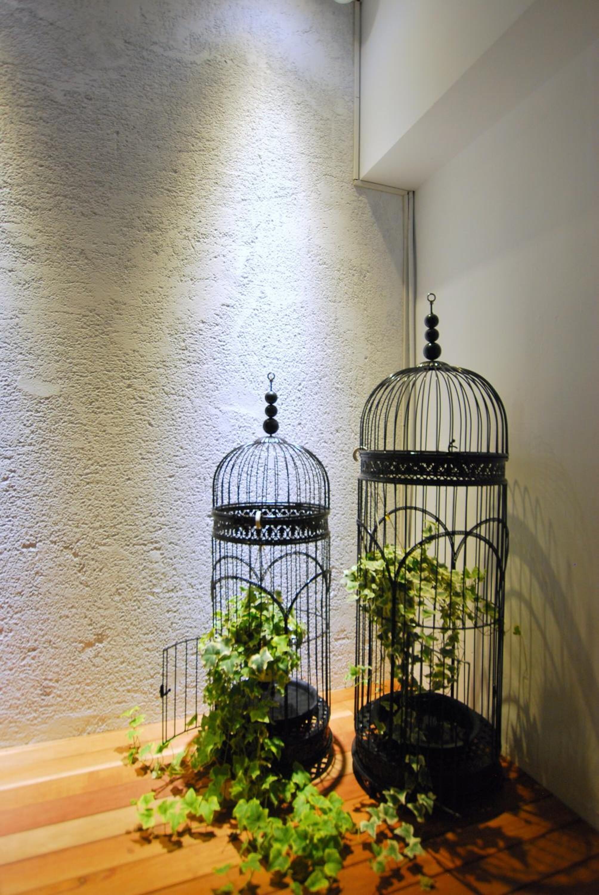 Two metal birdcages with plants, placed on a wooden surface against a textured wall.