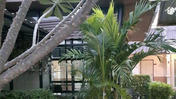 A courtyard with a palm tree, a wooden bench, and a metal fence. - The Chill House (Tha Muang)