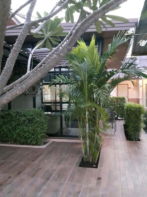 Une cour avec un palmier, un banc en bois et une clôture en métal.