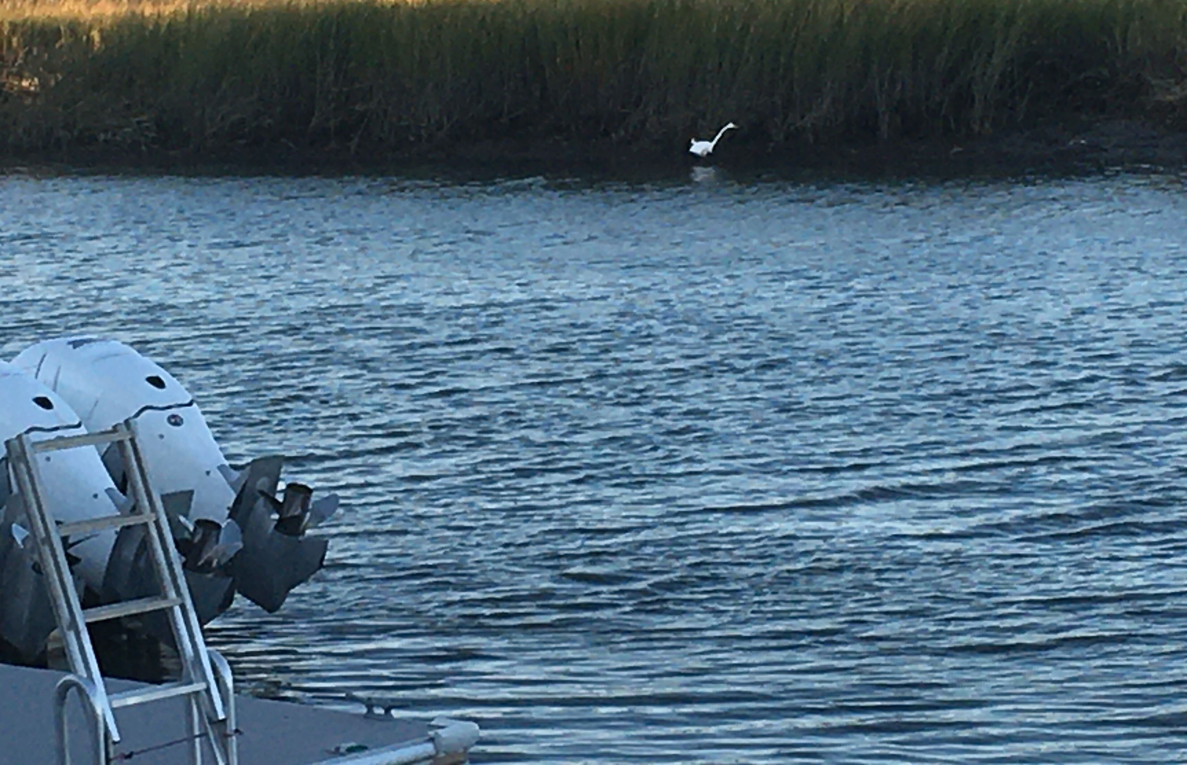 Un bateau avec une échelle et des gilets de sauvetage sur le pont.
