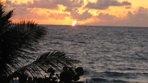A sunset over the ocean with palm trees in the foreground. - Just steps to the Warm Sandy Beach of Southern Florida (Pompano Beach)