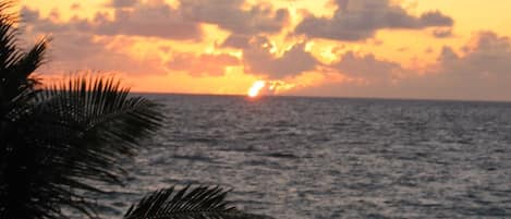 Accommodatie ligt op het strand