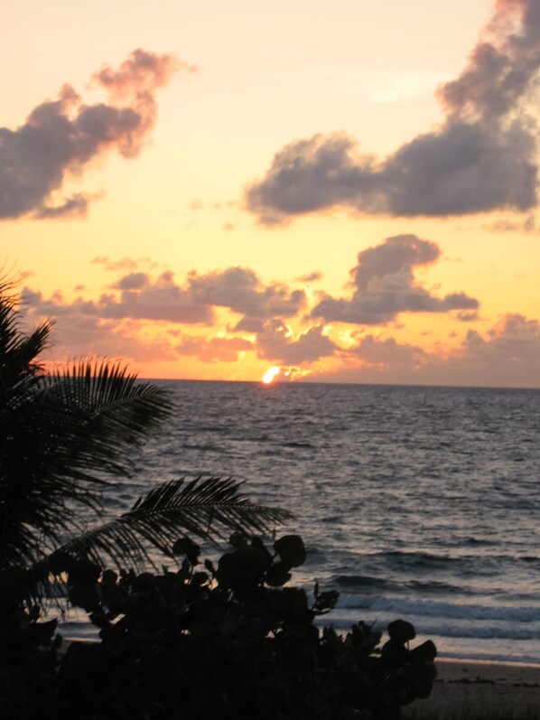 Ein Sonnenuntergang über dem Meer mit Palmen im Vordergrund.