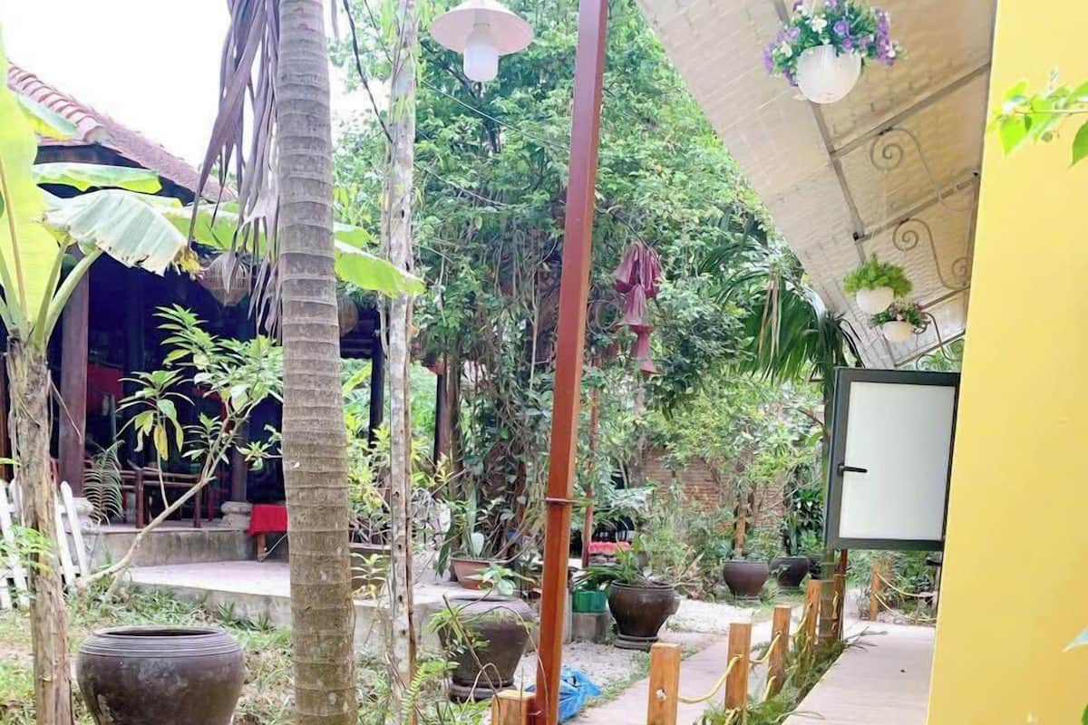 A pathway lined with potted plants and a yellow wall.