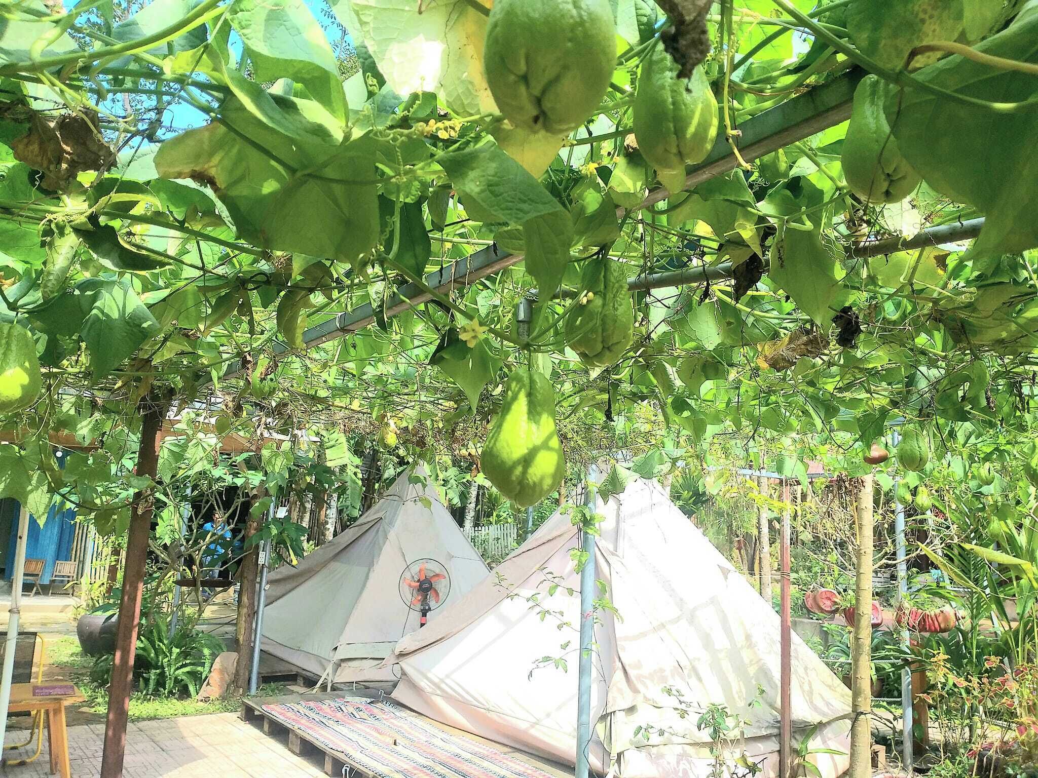 Photo - Hue Lotus Homestay