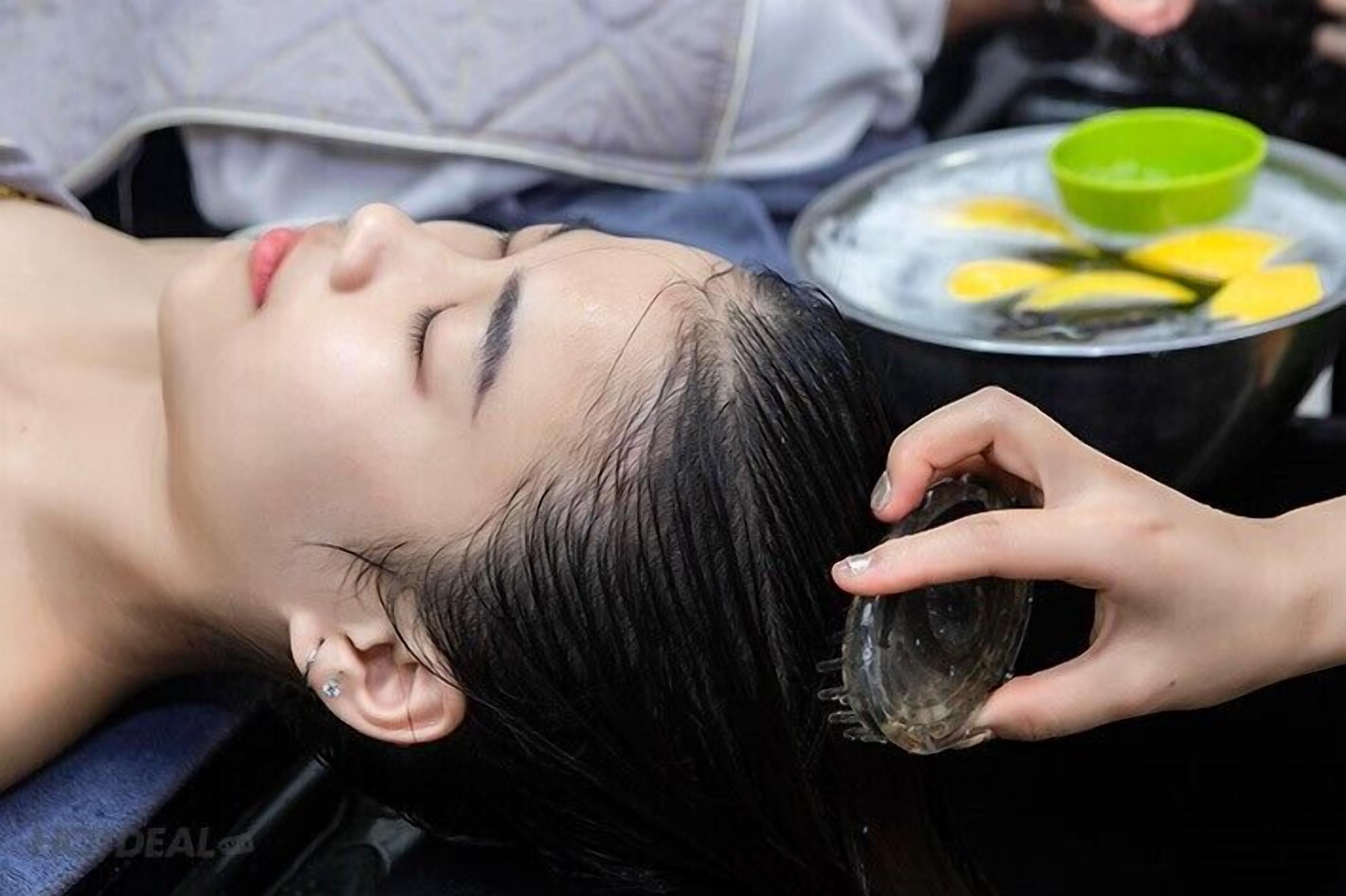 Photo - Hue Lotus Homestay