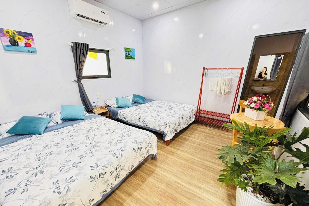 A hotel room with two beds, a small table with a plant, a mirror, and a window with curtains.