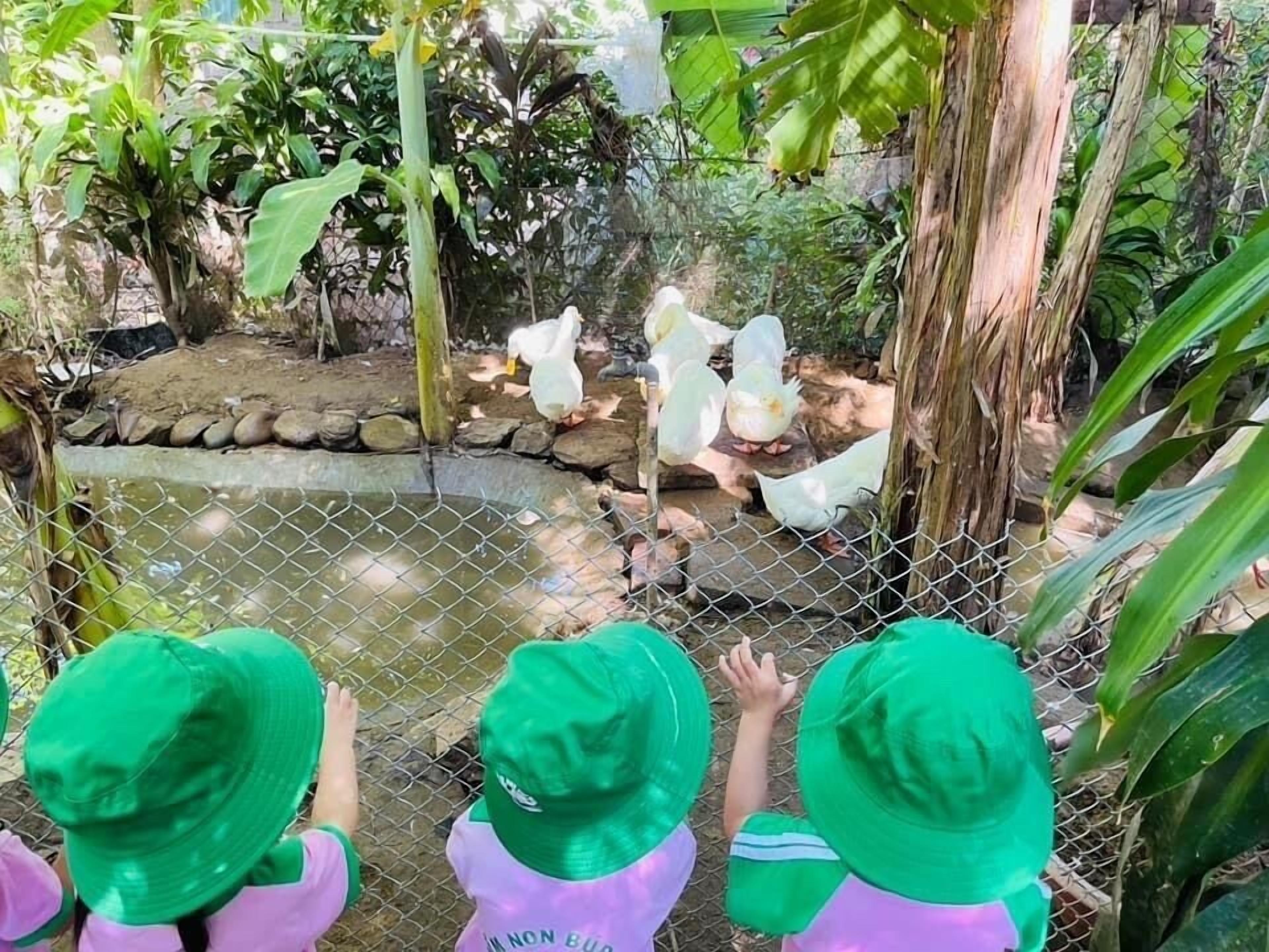 Photo - Hue Lotus Homestay