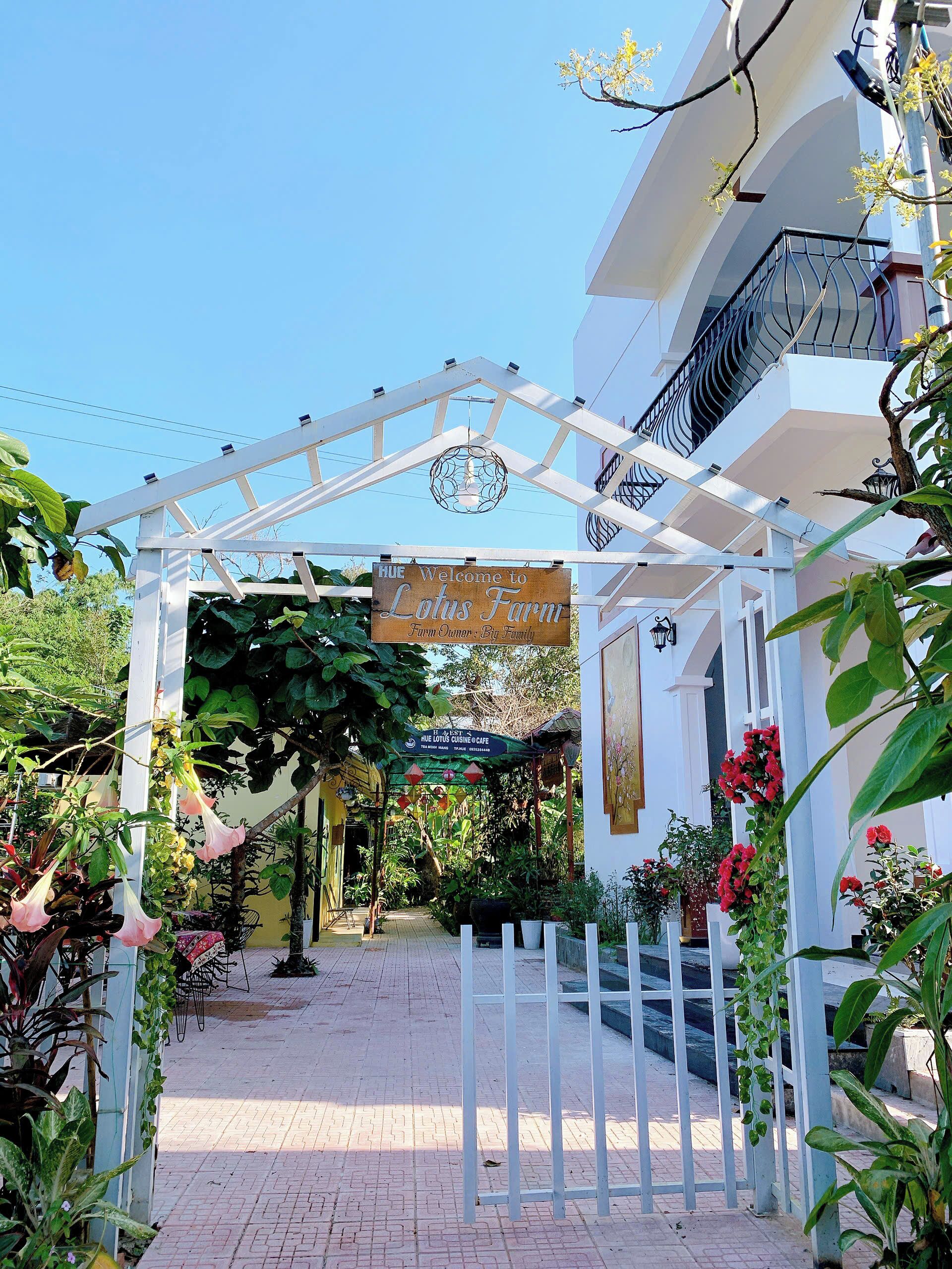 Habitació estàndard, 1 llit de matrimoni gran, vistes al jardí | Vista del pati