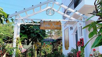 Quarto standard, 1 cama King, vista para o jardim | Vista para o pátio