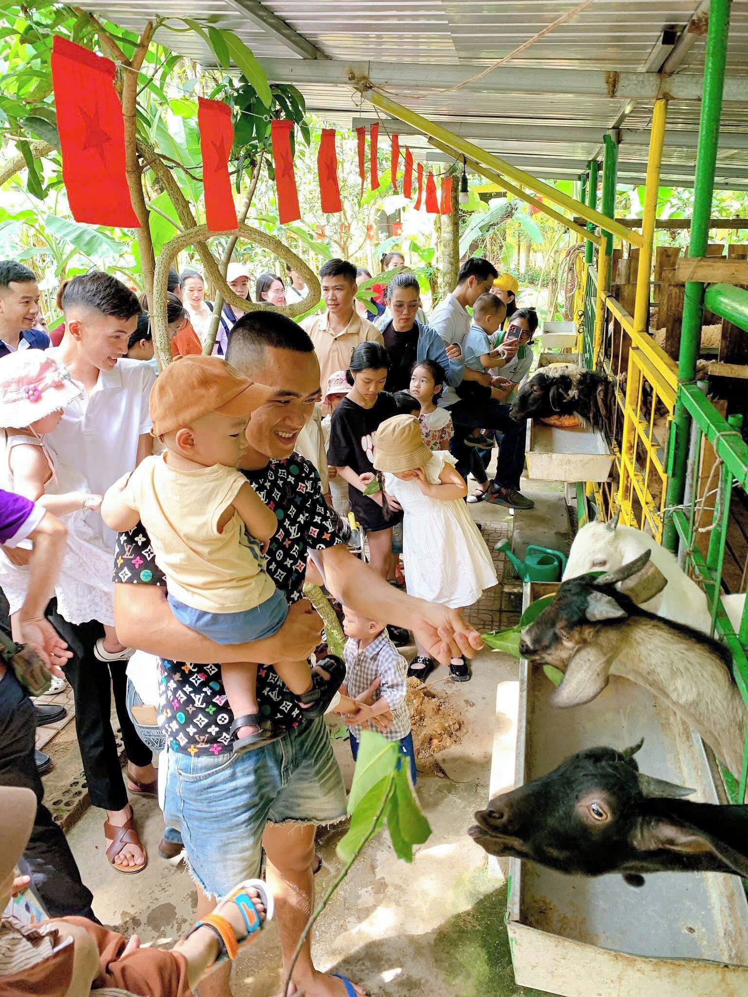 Foto - Hue Lotus Homestay