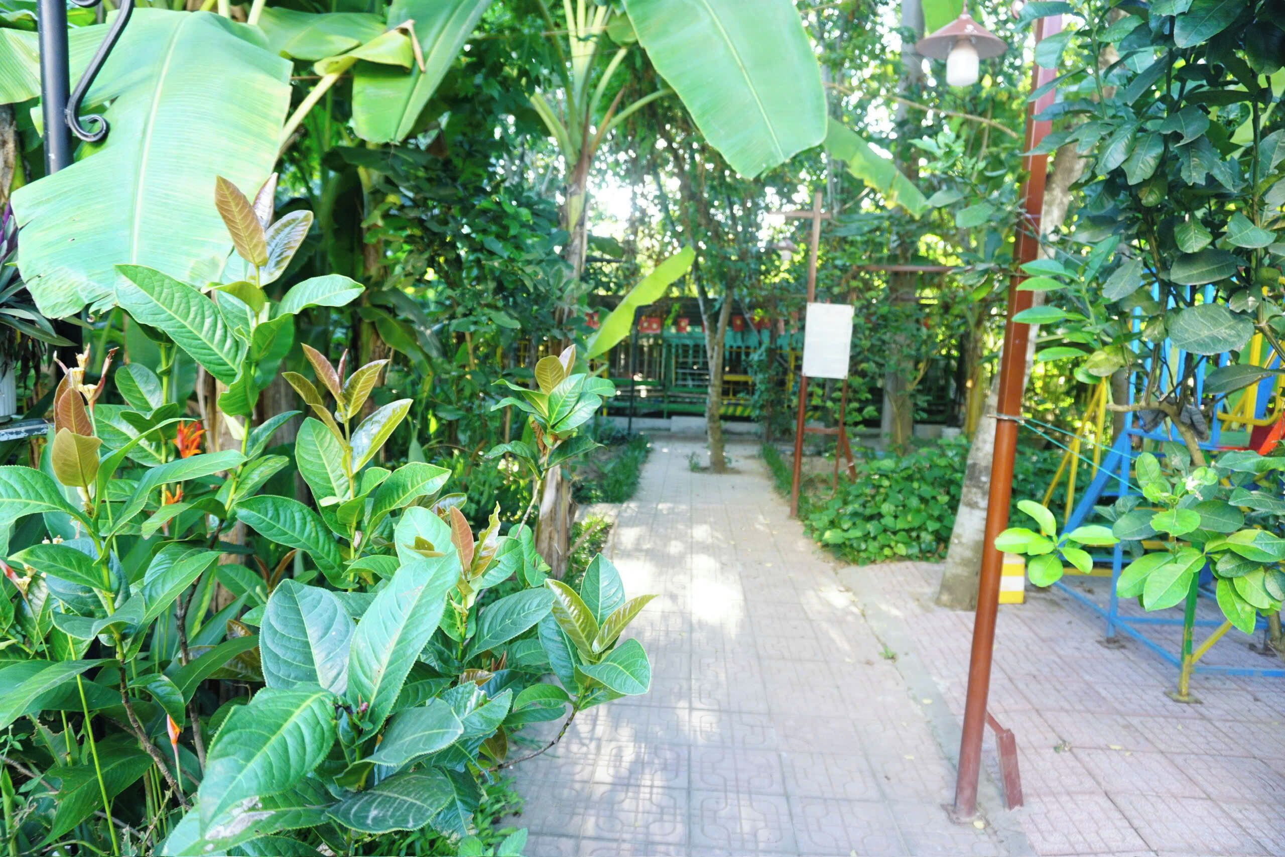 A pathway surrounded by lush greenery and a playground structure.