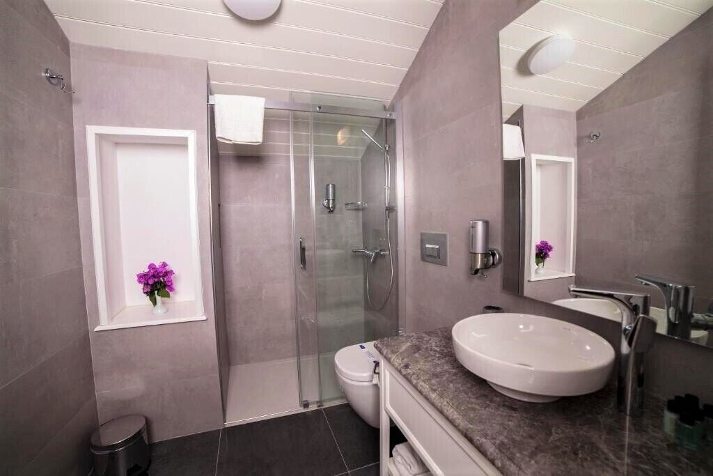 Een moderne badkamer met een douche met glazen wand, een ruim wastafelmeubel en een toilet.