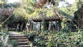 Bungalow Deluxe | Vista al jardín