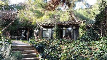 Vista al jardín
