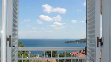 Vista del balcón