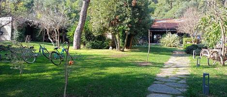 Un jardín con un sendero de piedra que lleva a un edificio, rodeado de árboles y bicicletas.