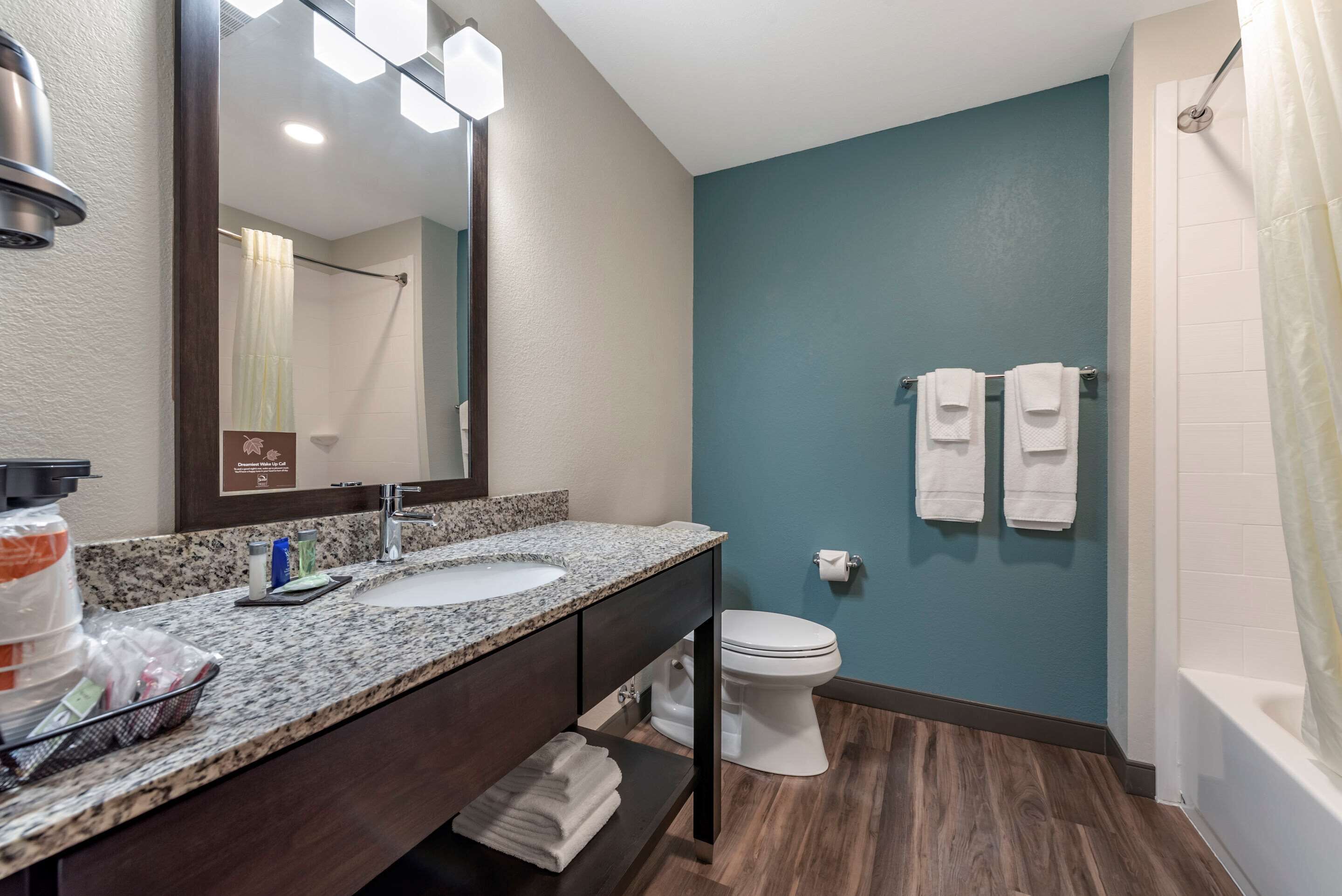 standard room, 2 queen beds, non smoking | bathroom | shower, hair dryer