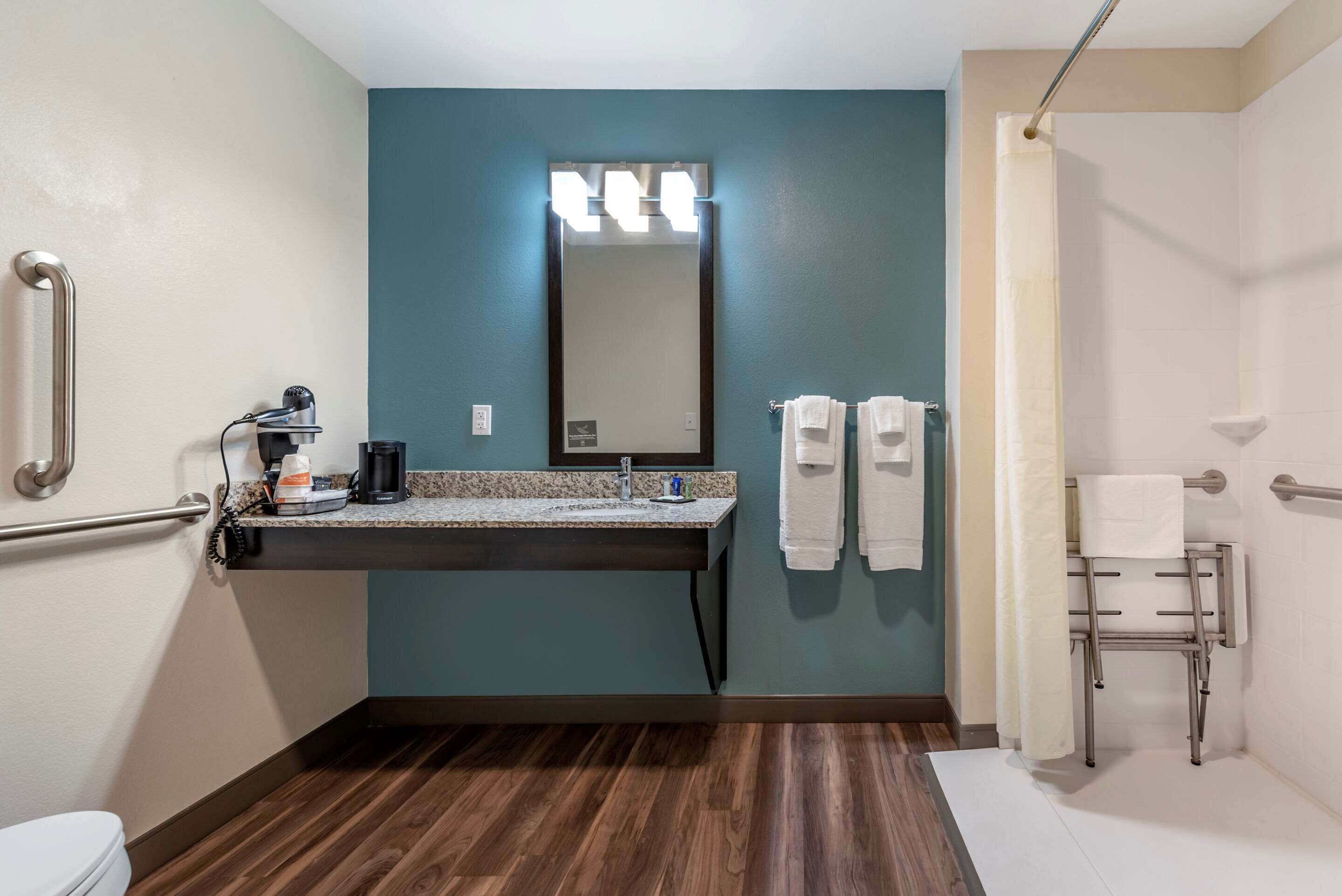 room, 1 king bed, accessible, non smoking | bathroom | shower, hair dryer