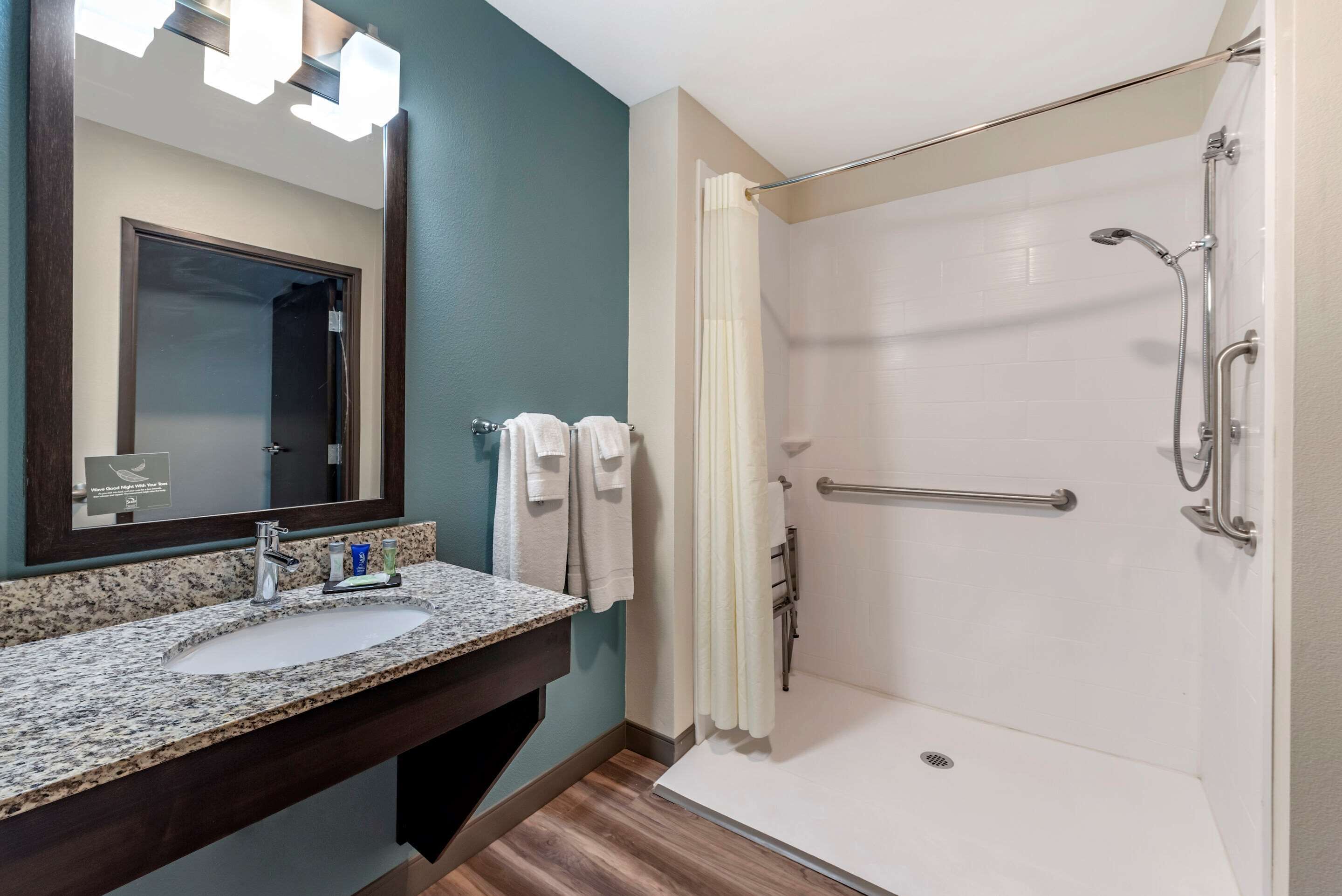 room, 1 king bed, accessible, non smoking | bathroom | shower, hair dryer