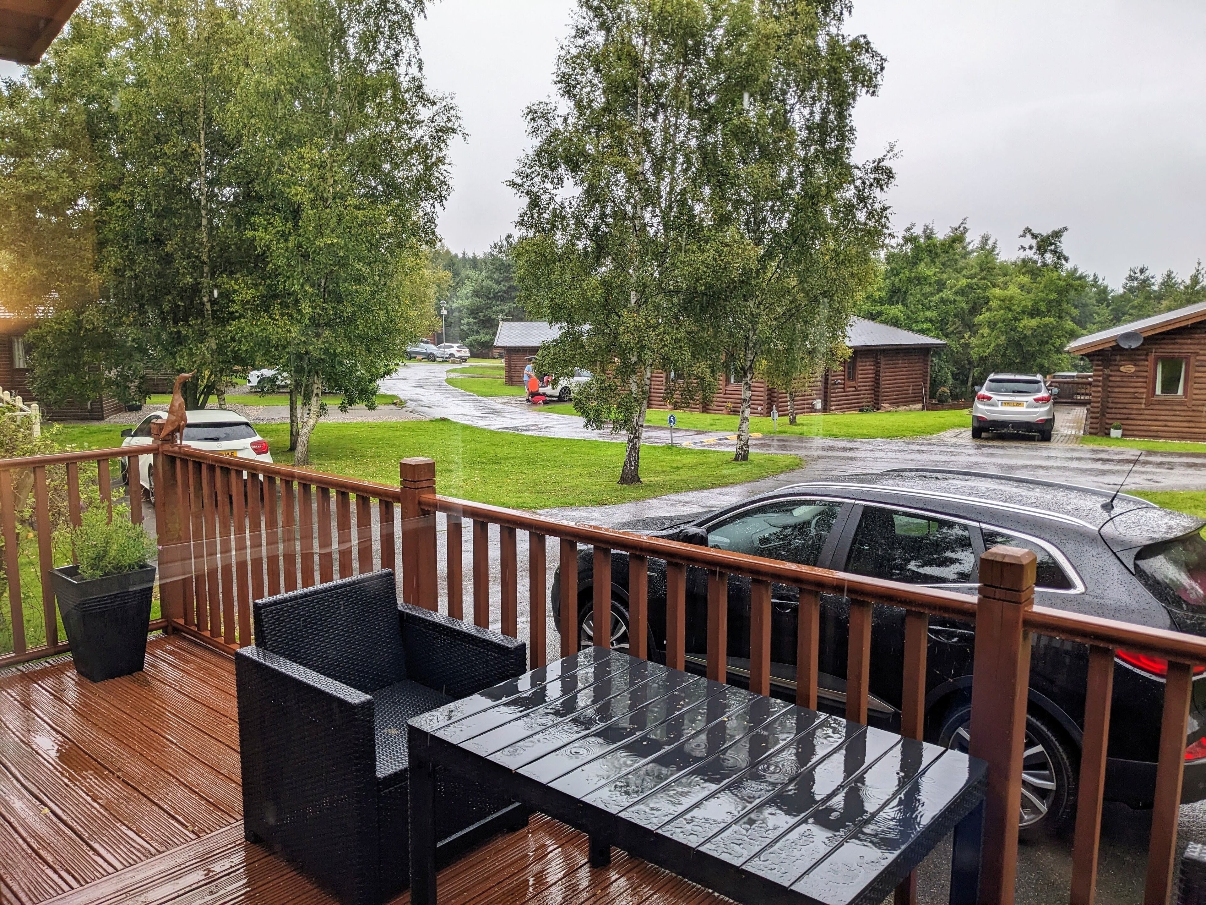 Cabin | Property grounds