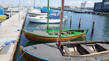 Paseos en bote