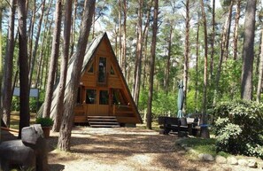 Une cabane en bois située dans une forêt, avec un sentier de terre qui y mène, et entourée d’arbres.