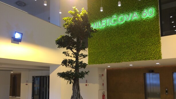 A lobby with a large bonsai tree in a white planter, a green wall with 'MILETICOVA 60' signage, and an elevator. - Quality Apartment Miletičova (Bratislava)