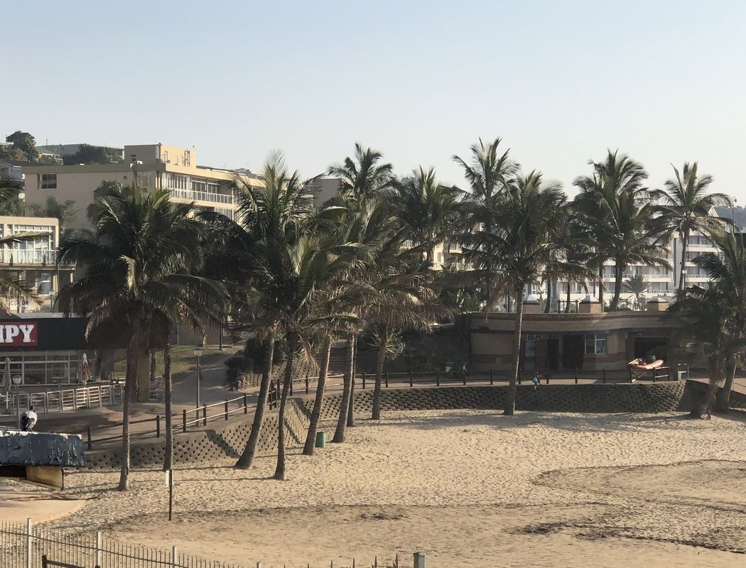 A sandy beach with palm trees and a building in the background.