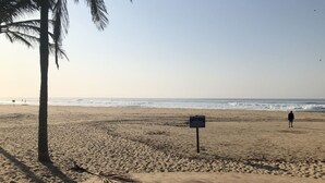 Una playa con una palmera, un cartel y una persona caminando.