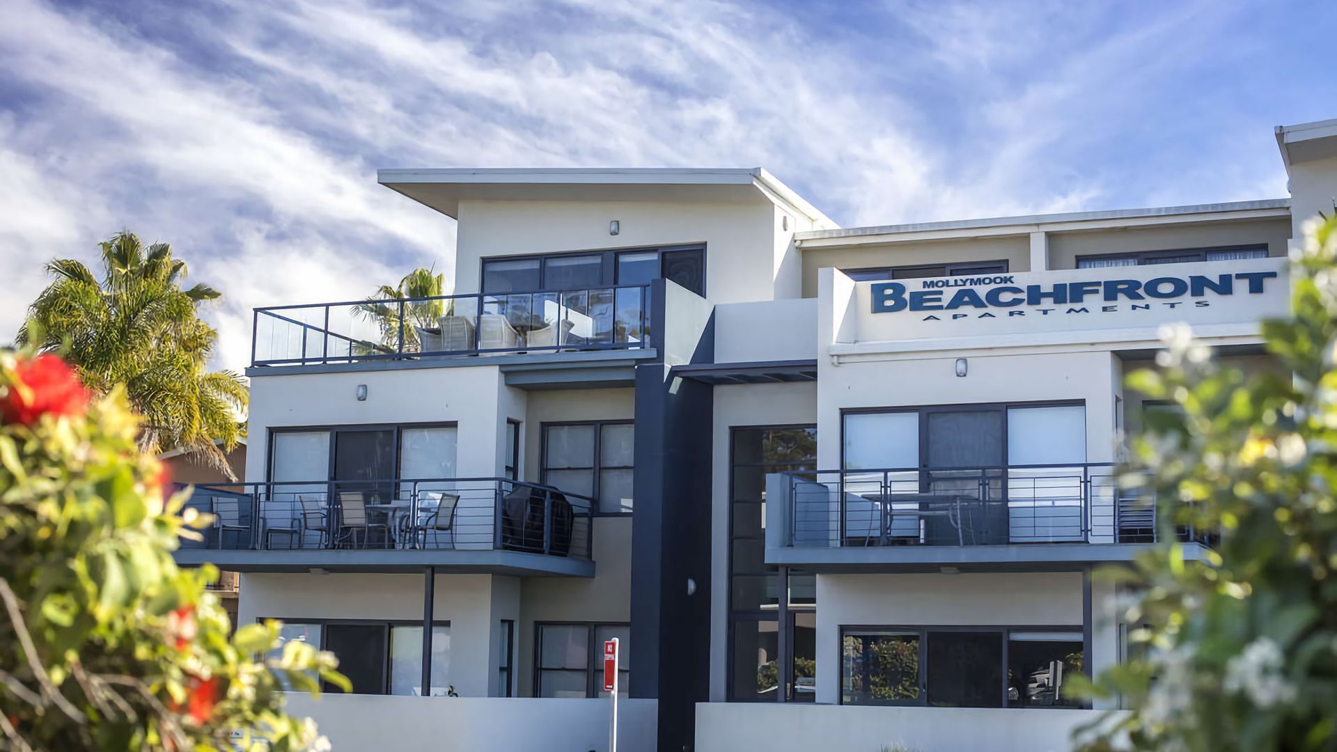 A modern multi-story building with balconies and large windows, labeled "MOLLYMOOK BEACHFRONT APARTMENTS."