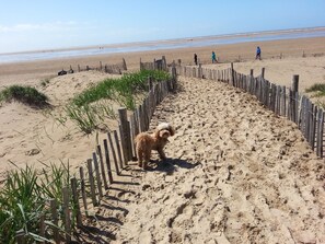 Plage à proximité, sable blanc