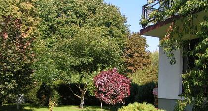 VIP LUIZĖ Apartamentai