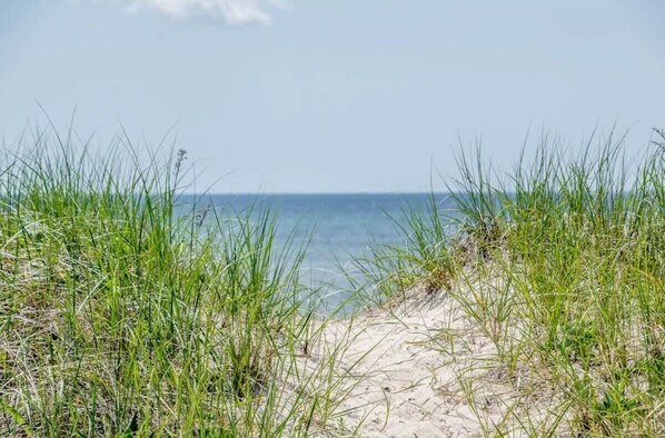 On the beach