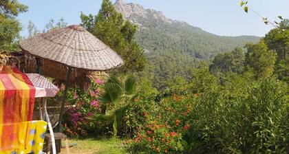 Cirali Sunny House - On the Road to Ciralı Beach