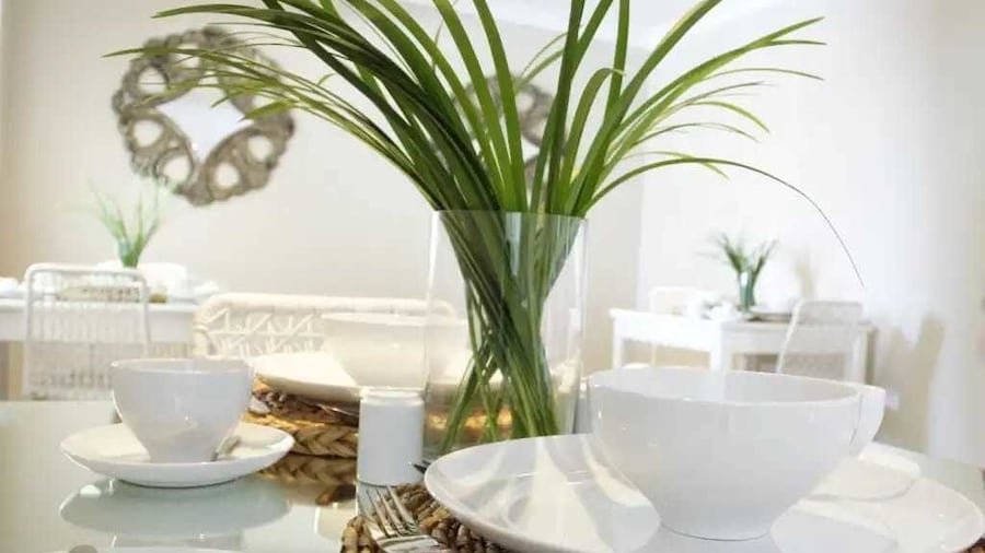 Anchors Boutique Lodge