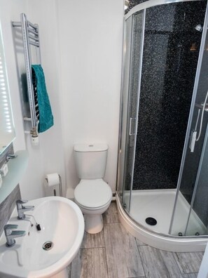 Shower, free toiletries, hair dryer, towels - The Birches (Dingwall)