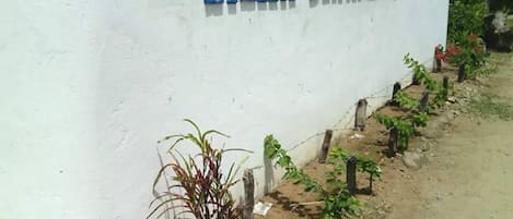 Área da propriedade
